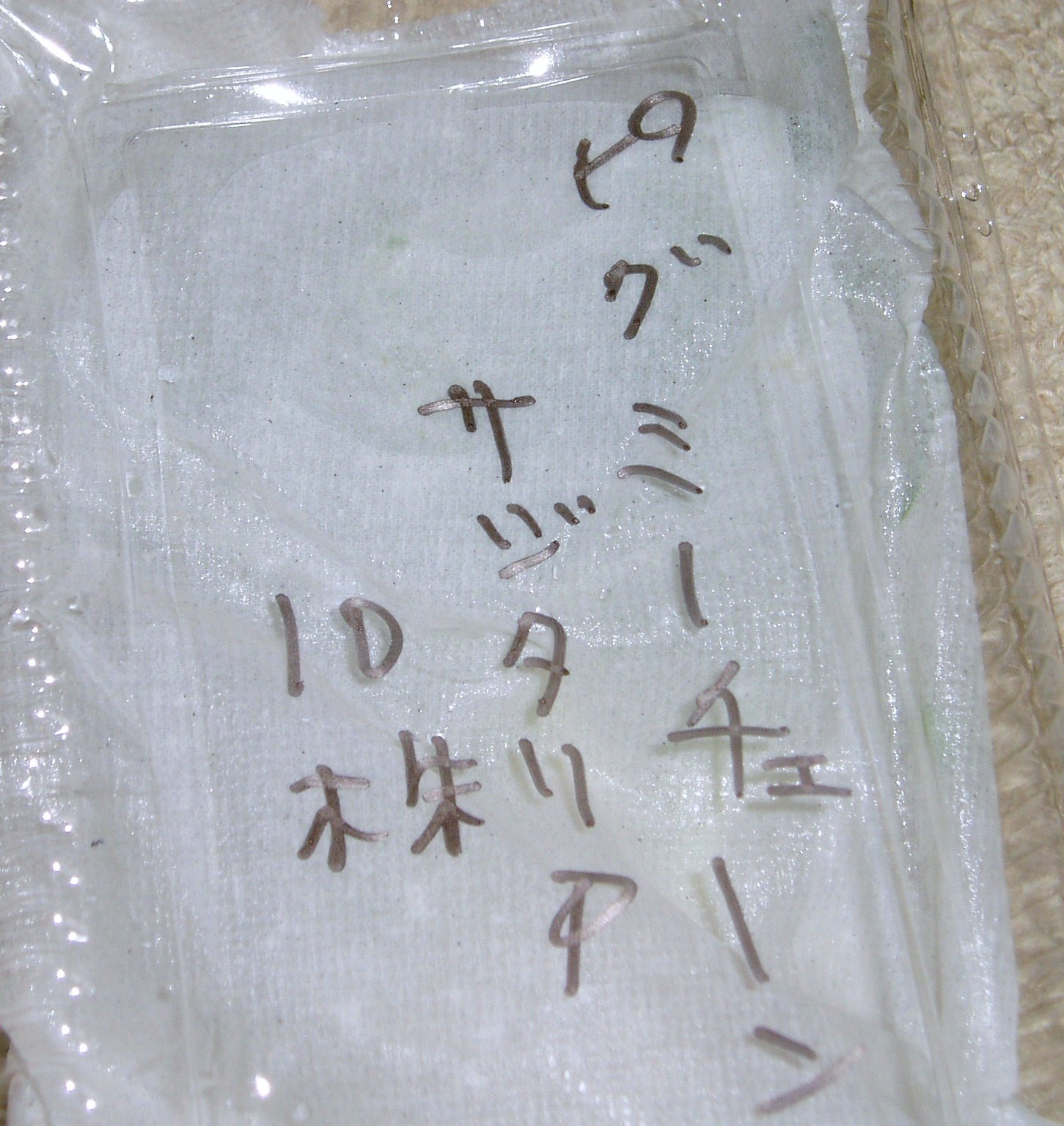 a0139647_73555.jpg