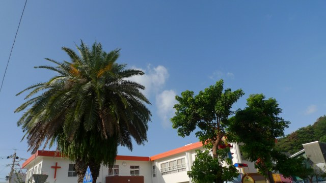 f0202551_99478.jpg