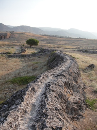 e0165162_12333987.jpg