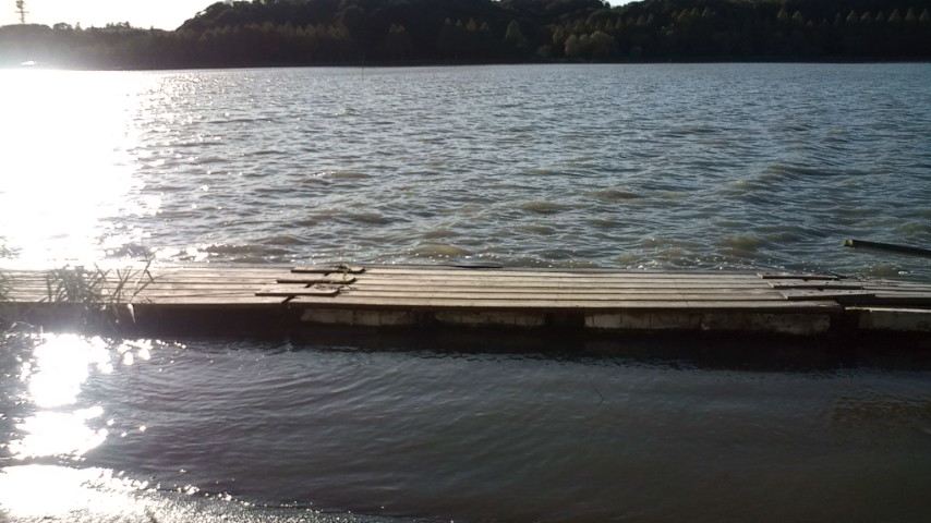 f0159763_2231787.jpg