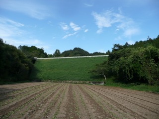 f0055264_19445046.jpg
