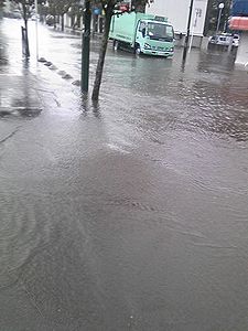 f0196665_23481187.jpg
