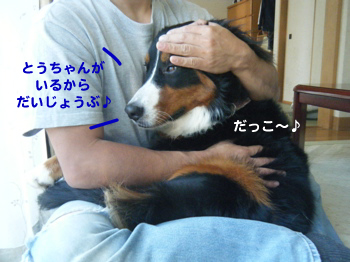 e0124868_1454413.jpg
