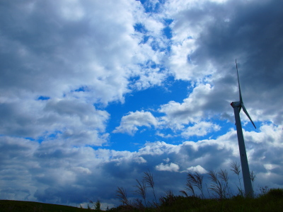 c0211471_21393454.jpg