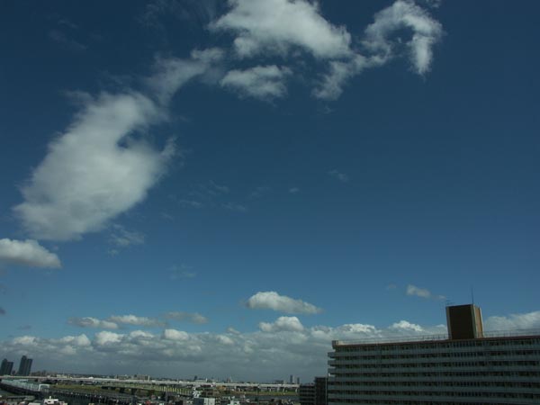 e0164571_15551251.jpg