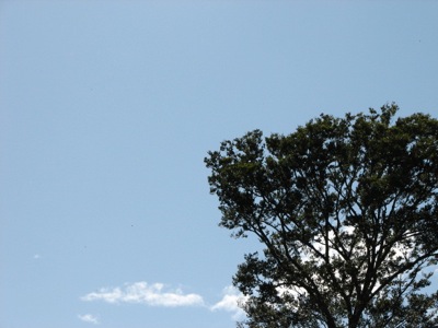 d0050472_1353658.jpg