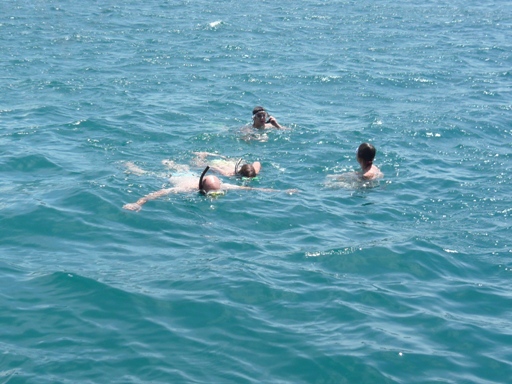 d0092973_1721723.jpg
