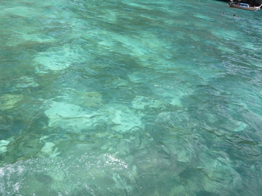 d0092973_1743189.jpg