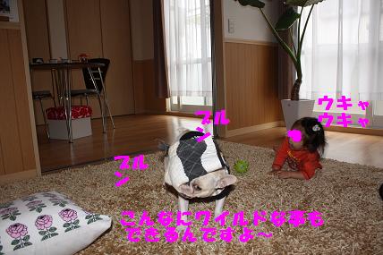 c0174077_033914.jpg