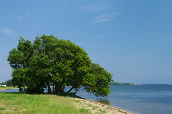 f0192778_10564541.jpg