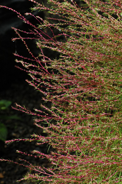 f0160480_22551746.jpg