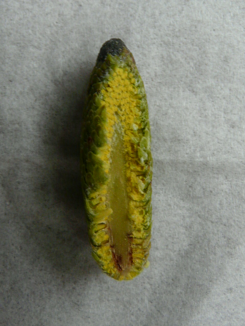 e0145782_17284622.jpg