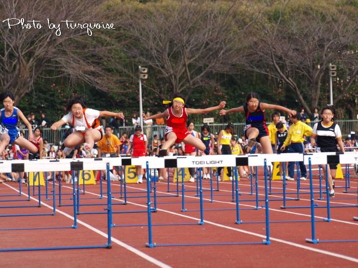 c0201284_10105986.jpg