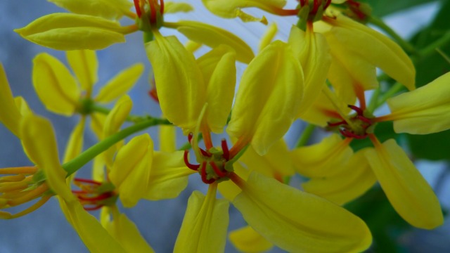 b0115085_9212769.jpg