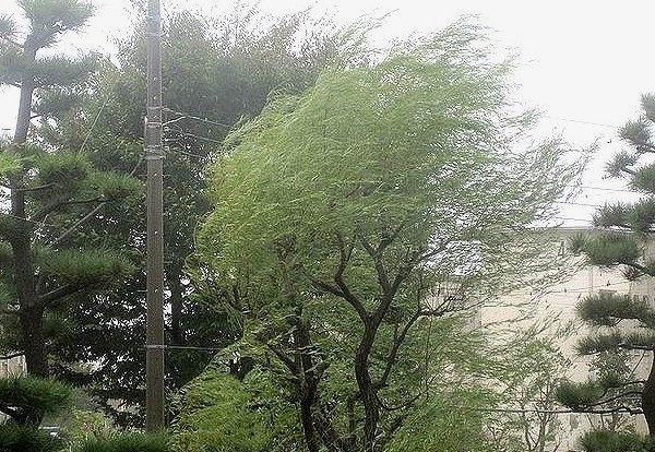 e0143690_12324833.jpg