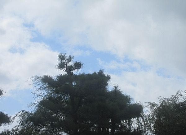 e0143690_1233213.jpg