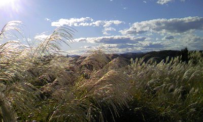 f0189490_20174628.jpg