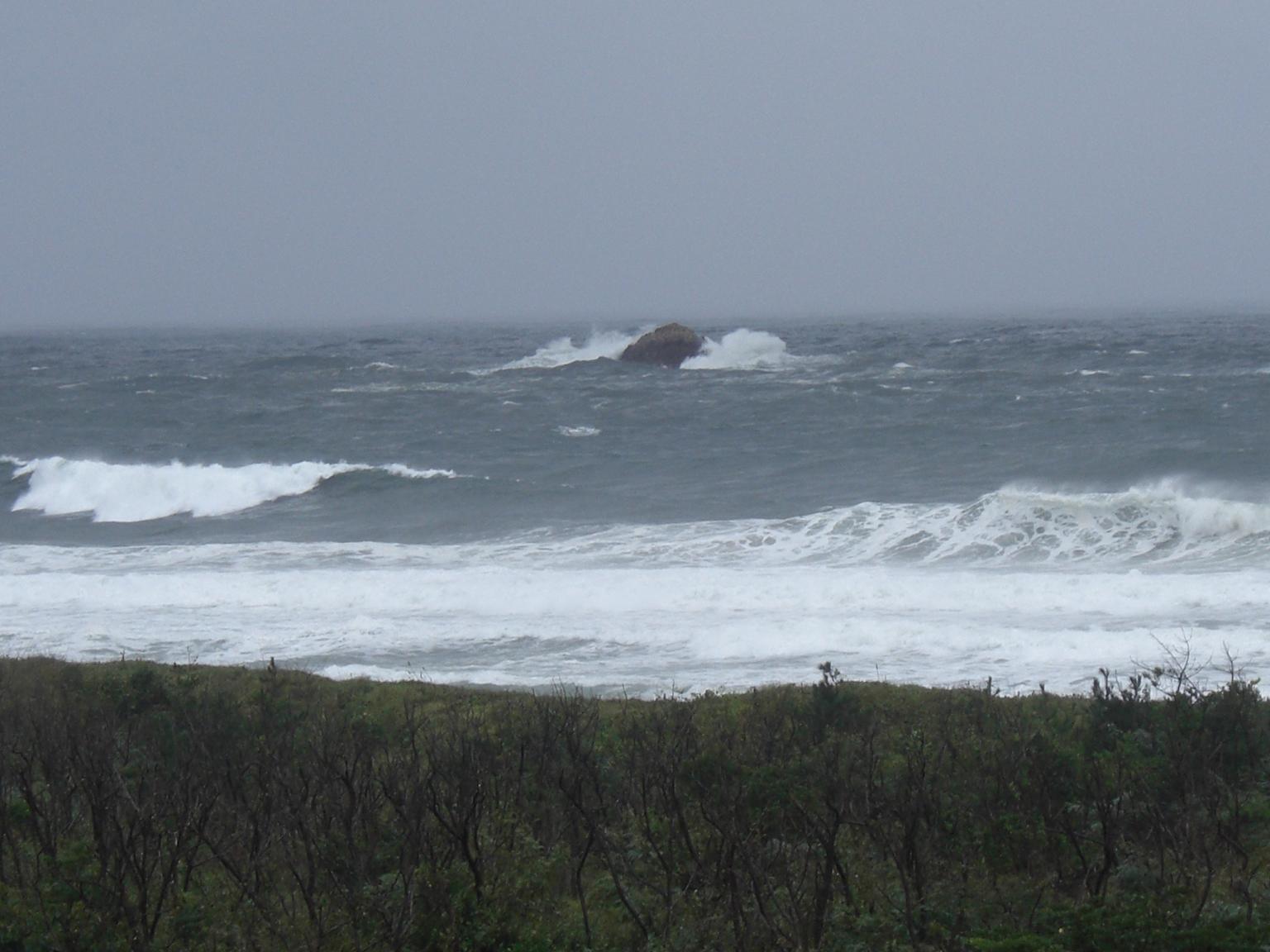 f0131491_14195466.jpg