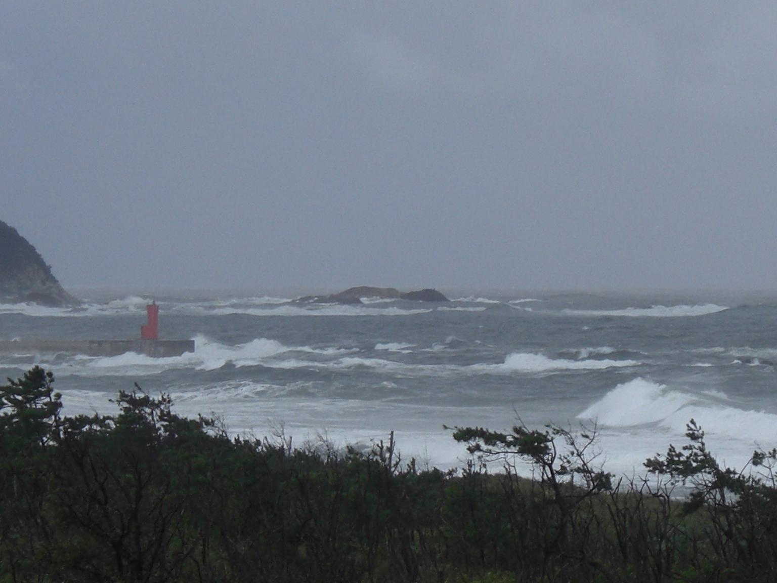 f0131491_1420756.jpg