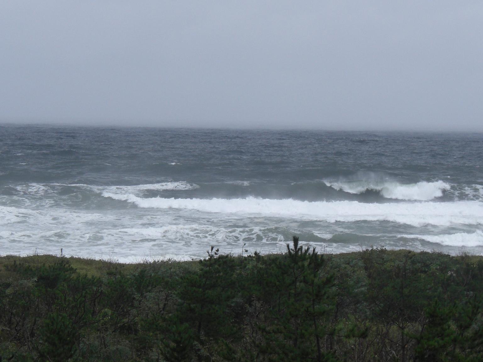 f0131491_1442660.jpg