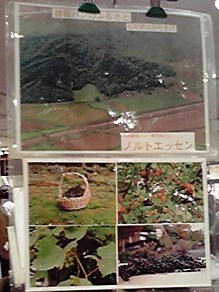 e0167597_1351791.jpg