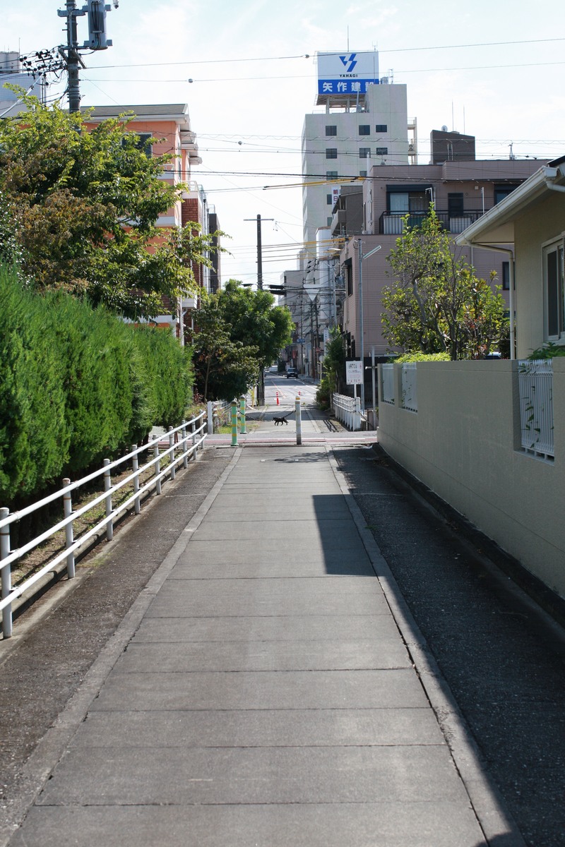 f0148697_1434896.jpg