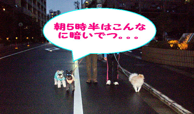 c0138198_2243463.jpg