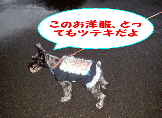 c0138198_22653100.jpg