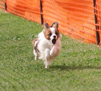 c0044199_23174677.jpg