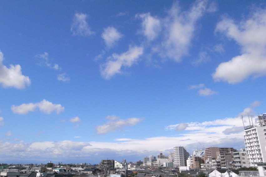 f0108399_12231850.jpg