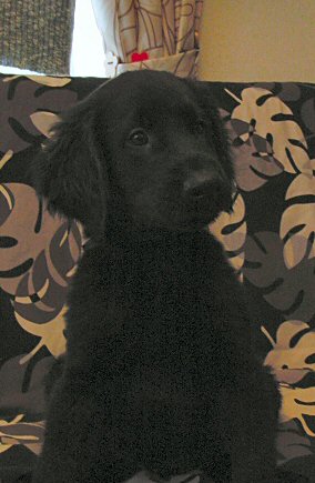 c0050400_22535535.jpg