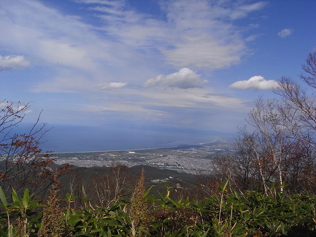 f0157901_1481498.jpg