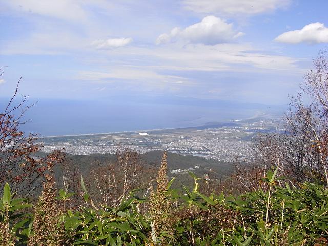 f0157901_149784.jpg