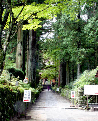 c0011009_10294770.jpg