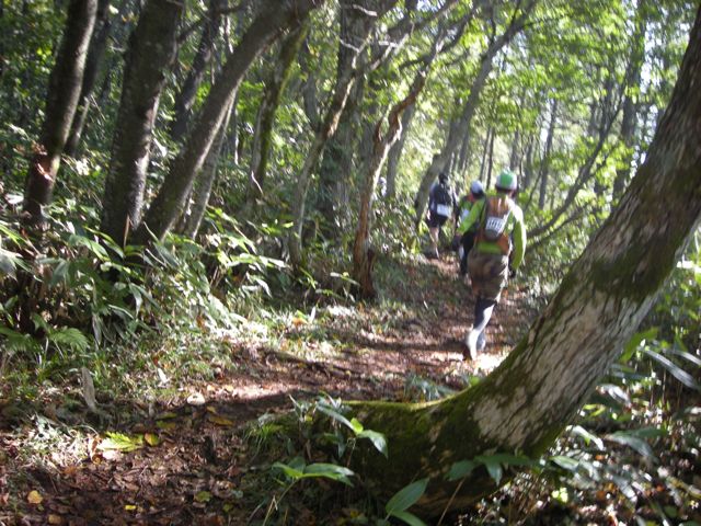 b0183911_2340358.jpg