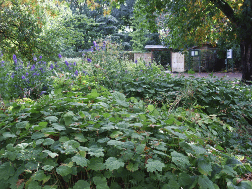 e0116315_1163019.gif