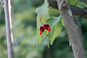 f0191517_17293356.jpg