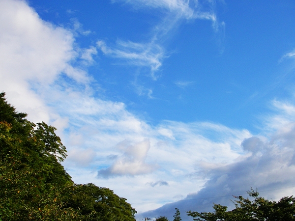 d0144618_21182556.jpg