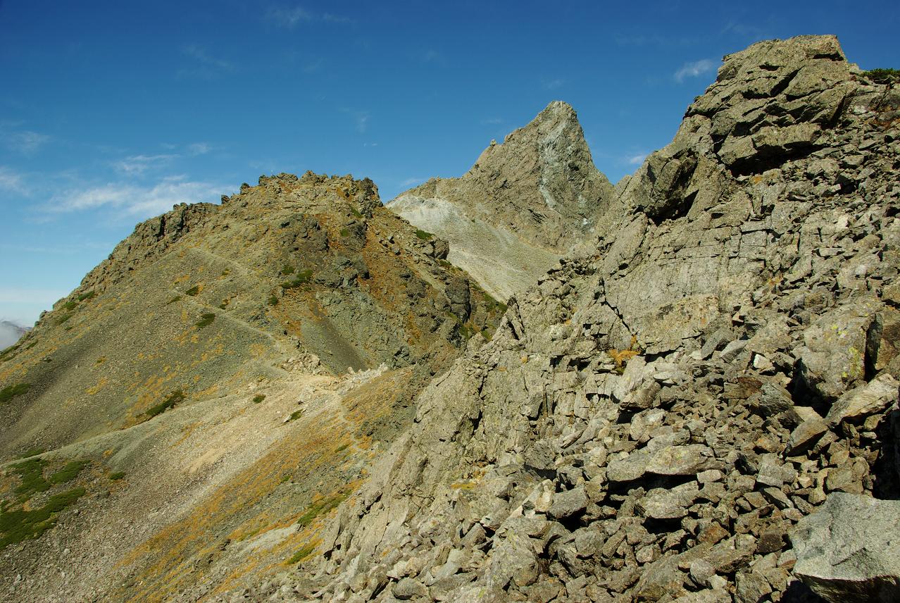 b0062024_62779.jpg