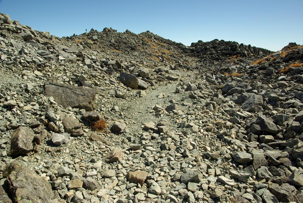 b0062024_661461.jpg