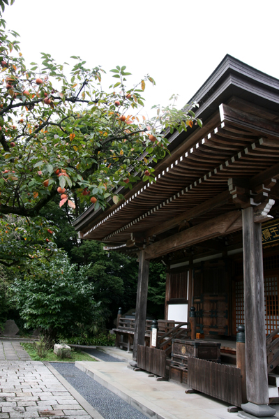 d0054625_23283284.jpg