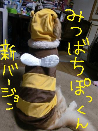 f0176830_129583.jpg