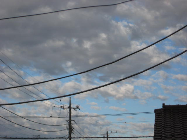 e0166032_2020777.jpg