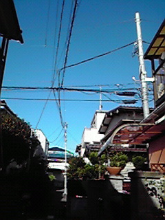 b0175335_9263317.jpg