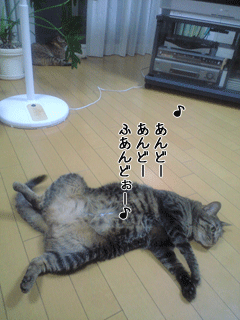 f0116546_0303415.gif
