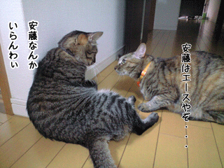 f0116546_0354360.gif