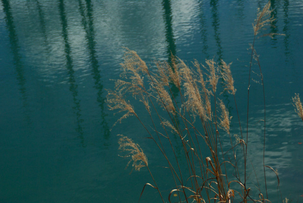 a0112747_18521239.jpg