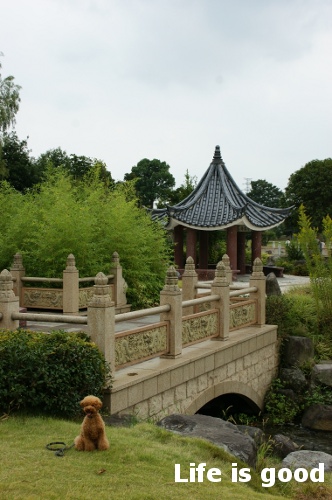b0140347_219271.jpg