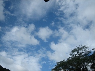 a0054948_21424110.jpg
