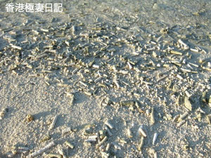 f0190653_1034049.jpg